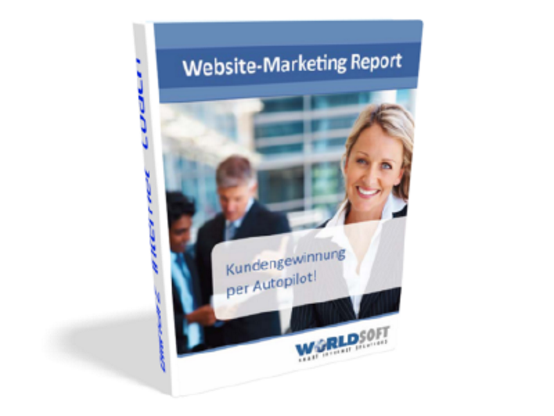 Website-Marketing-Report Buchtitel